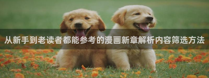 漫画岛最新网址