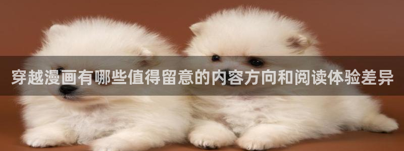漫画岛网站入口导航